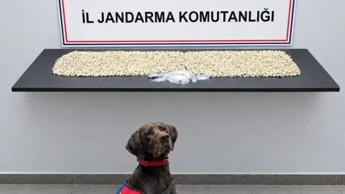 Eyyübiye’de Uyuşturucu Operasyonu!